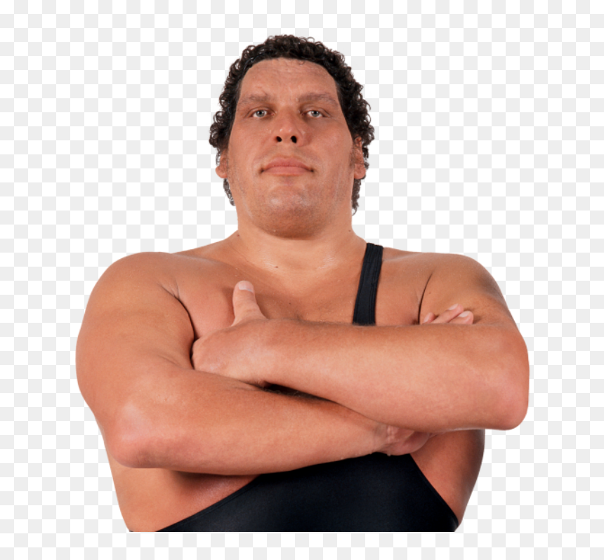 Andre El Gigante Wwe, HD Png Download - hardy boyz png