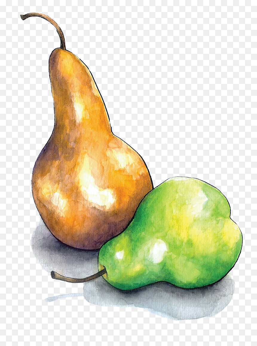 Still Life Photography, HD Png Download - pear tree png
