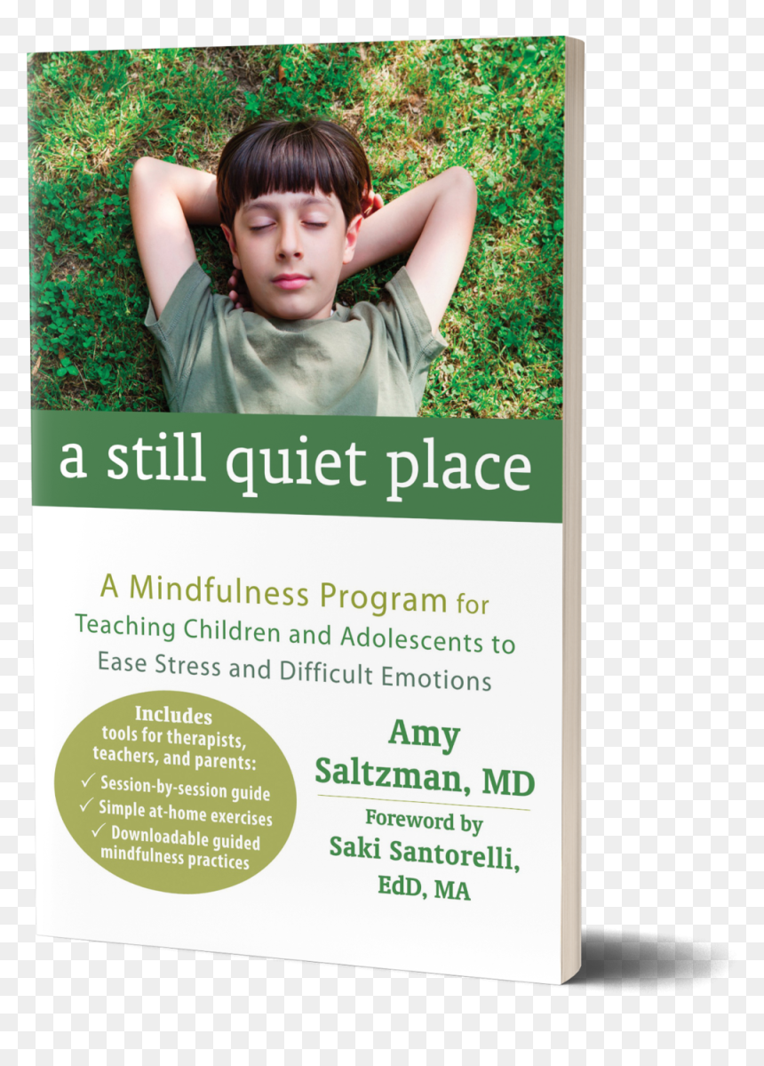 A Still Quiet Place: A Mindfulness Program For Teaching, HD Png Download - home alone kid png