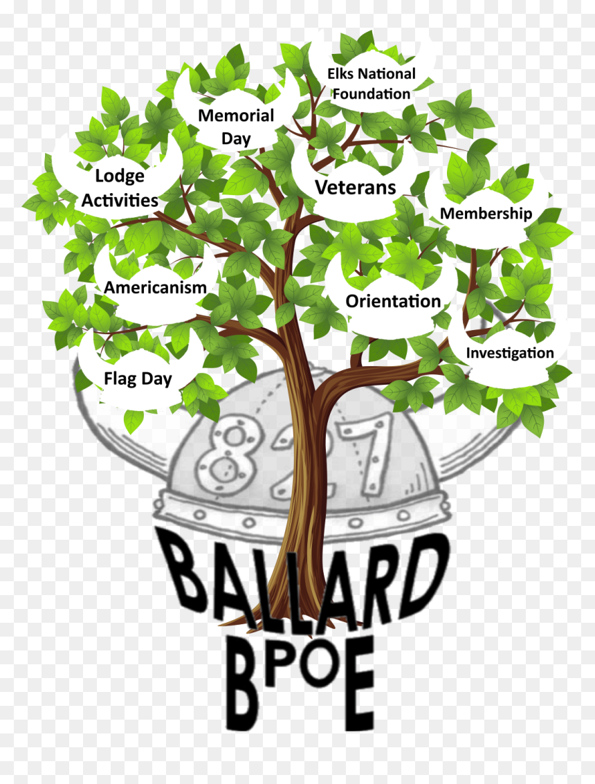 Transparent Background Tree Clipart Png, Png Download - hidden leaf headband png