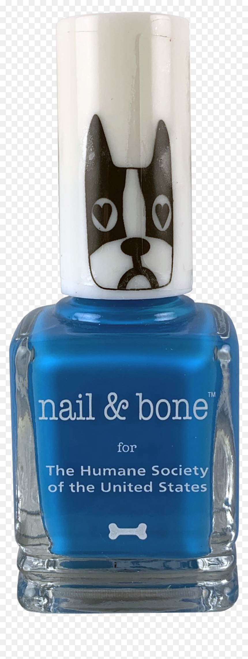 Nail Polish, HD Png Download - maddie ziegler png