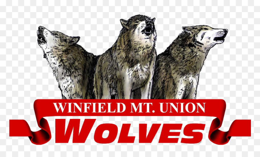 Winfield - Mt. Union Community School, HD Png Download - star wolf png