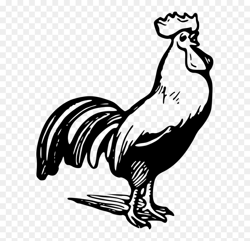 Rooster Clip Art Black And White, HD Png Download - white chicken png