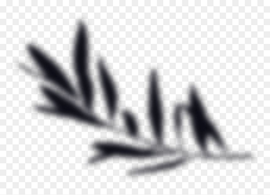 Calligraphy, HD Png Download - family text png
