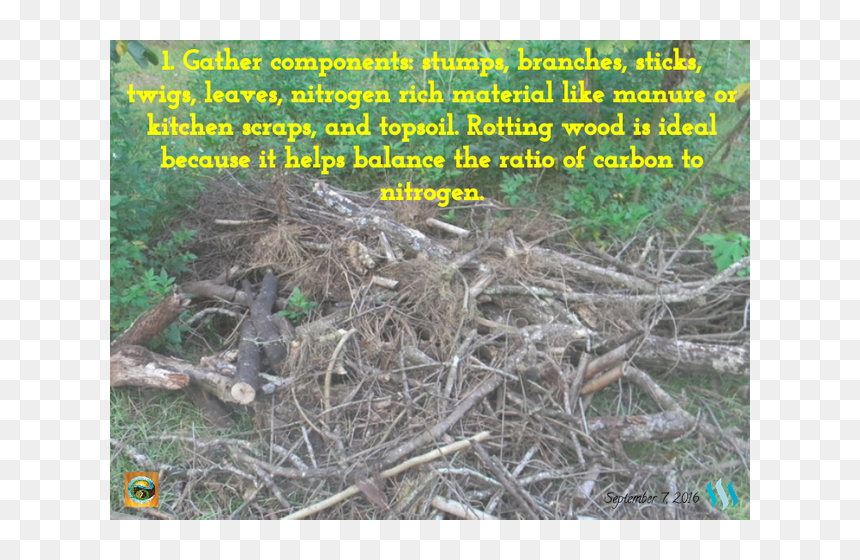 Root, HD Png Download - dirt mound png