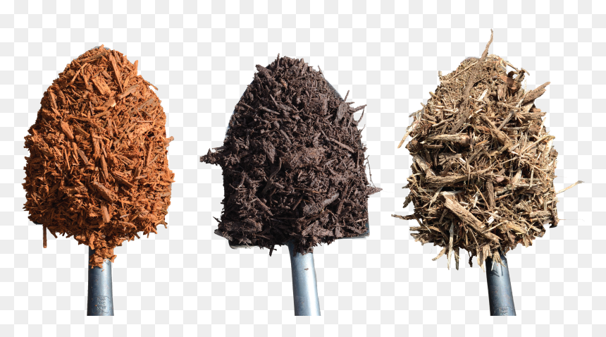 Tree, HD Png Download - dirt mound png