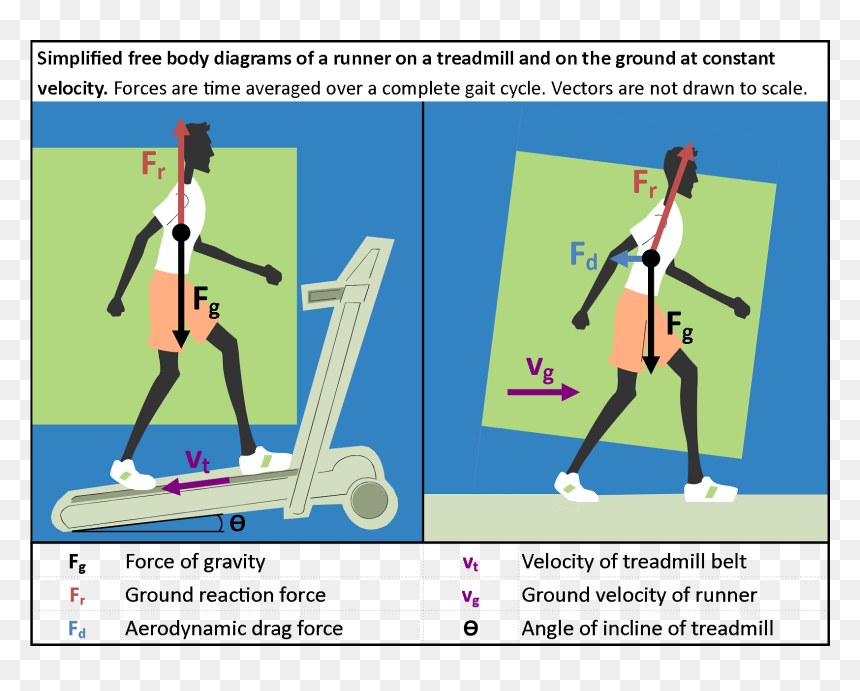 Cartoon, HD Png Download - running legs png