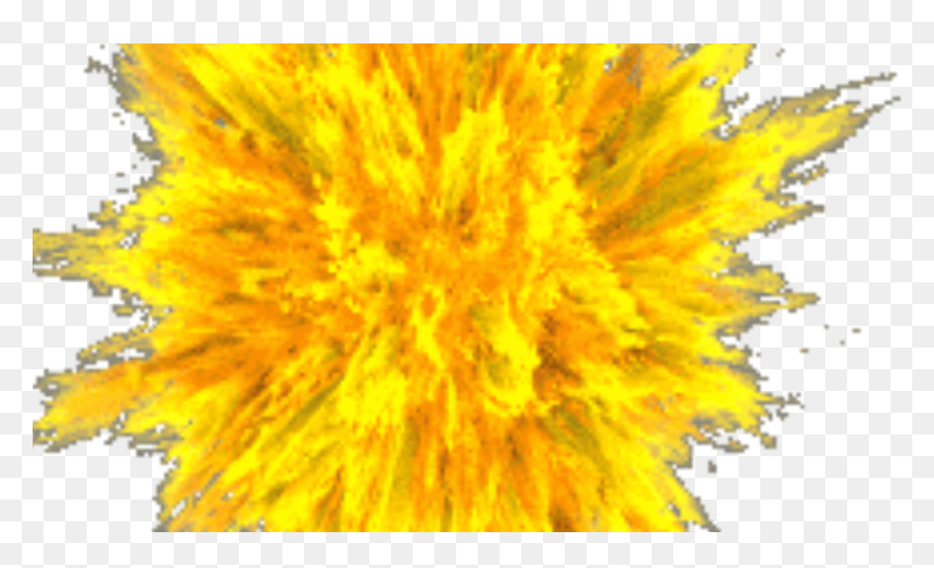 Sunflower, HD Png Download - jackie chan wtf png