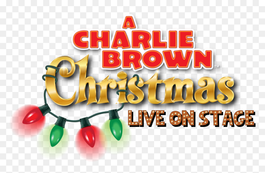 Charlie Brown Christmas, HD Png Download - snoopy christmas png