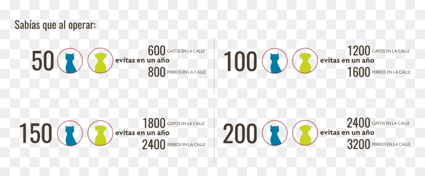 Graphic Design, HD Png Download - sabias que png