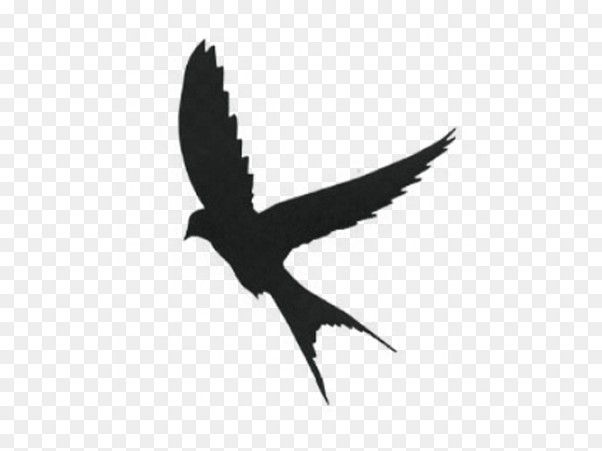 Bird Silhouette Tattoo, HD Png Download - sparrow tattoo png