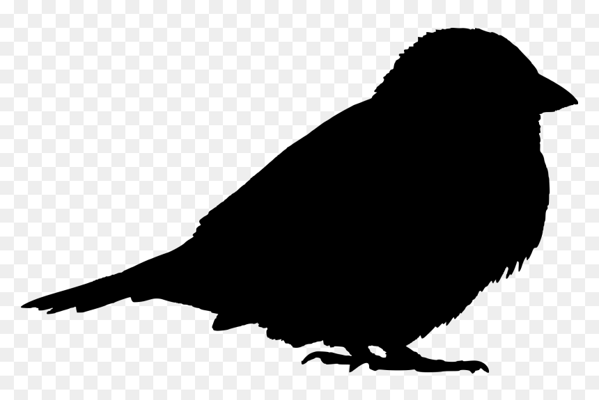 Sparrow Silhouette Svg, HD Png Download - sparrow tattoo png