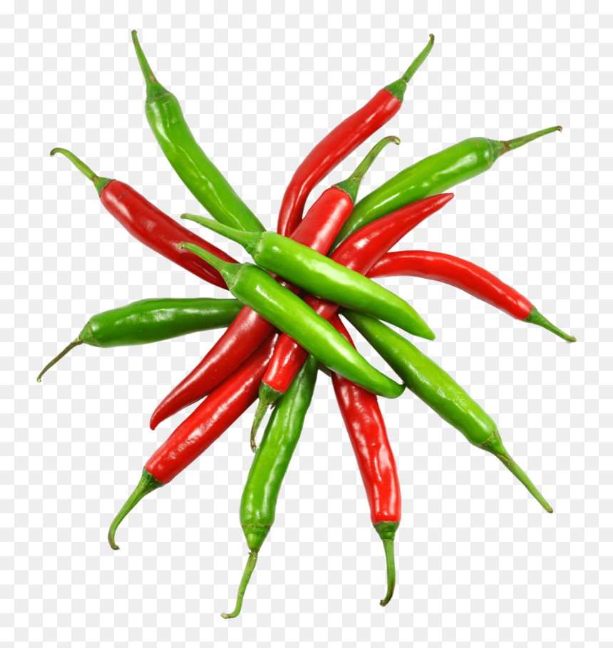 Red And Green Chillies, HD Png Download - pepper plant png