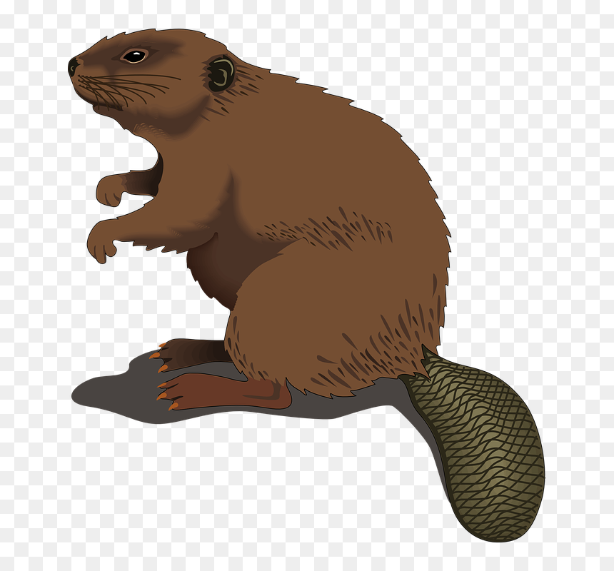 Beaver Clip Art, HD Png Download - wood pile png