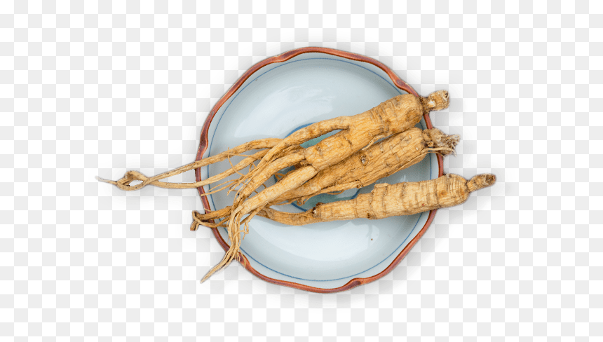 Tuber, HD Png Download - ginseng png