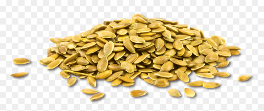 Gold Coin Pile Transparent, HD Png Download - wood pile png