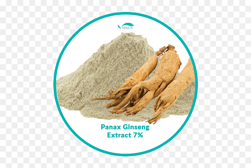 Herz Mensch, HD Png Download - ginseng png