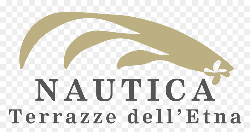 Graphic Design, HD Png Download - nautica png