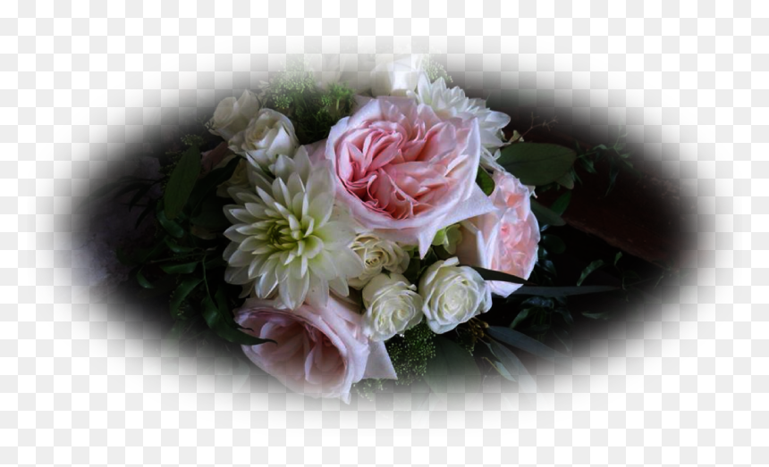 Garden Roses, HD Png Download - floral header png