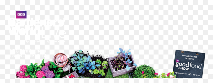 Bouquet, HD Png Download - floral header png