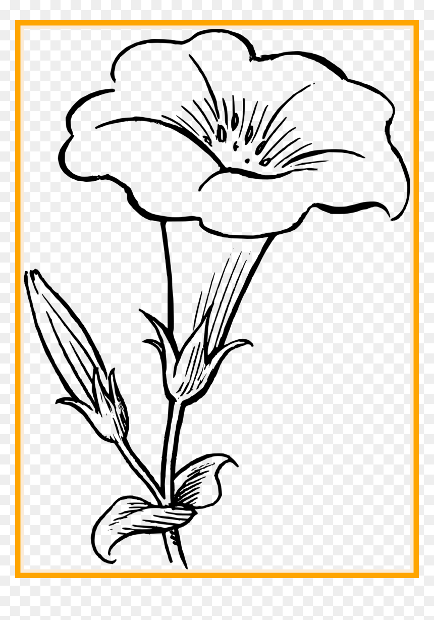 Flower Clipart Black And White, HD Png Download - sea plants png