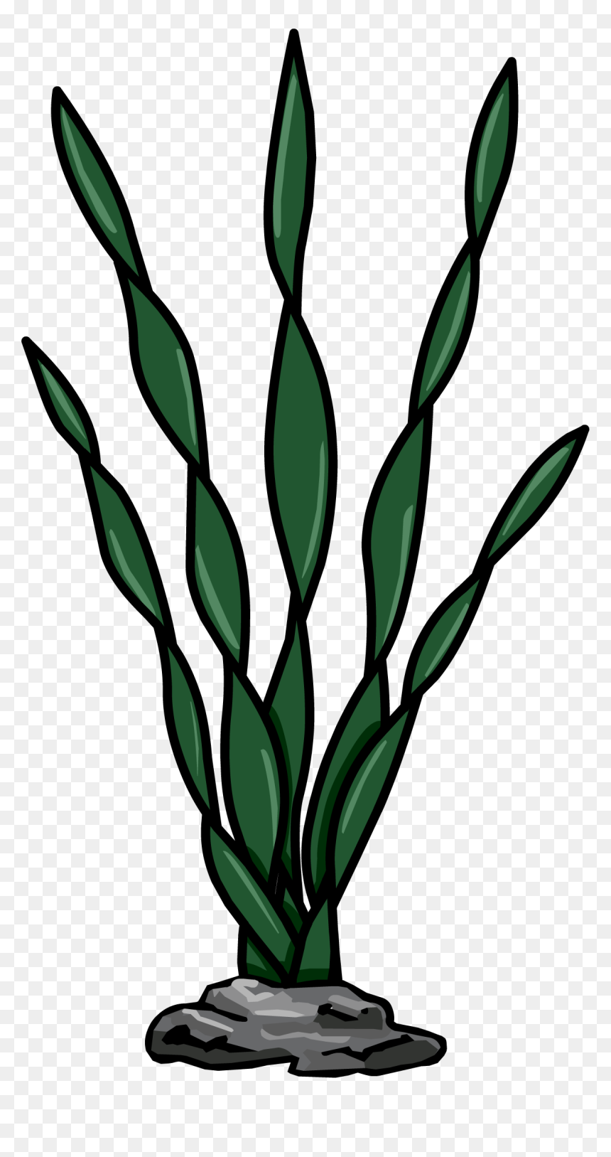 Algas Del Mar Png, Transparent Png - sea plants png