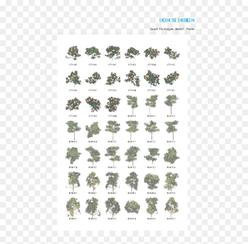 If I Were A Boy Guitar Chords, HD Png Download - sea plants png
