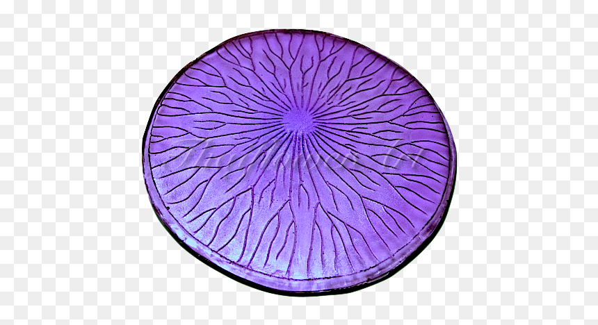 Circle, HD Png Download - lotus leaf png