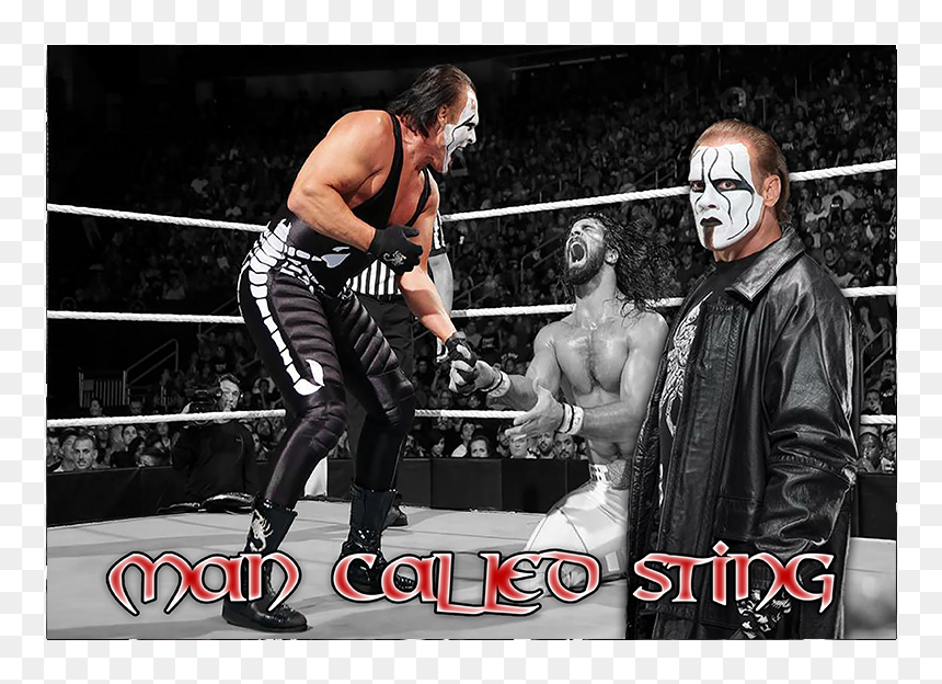 Sting Night Of Champions 2015, HD Png Download - wwe sting png