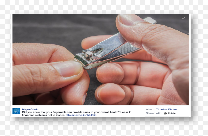 Cutting Tool, HD Png Download - fingernail png