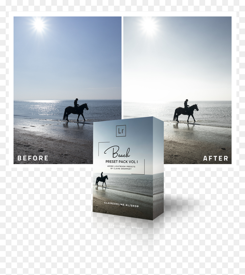 Stallion, HD Png Download - beach silhouette png