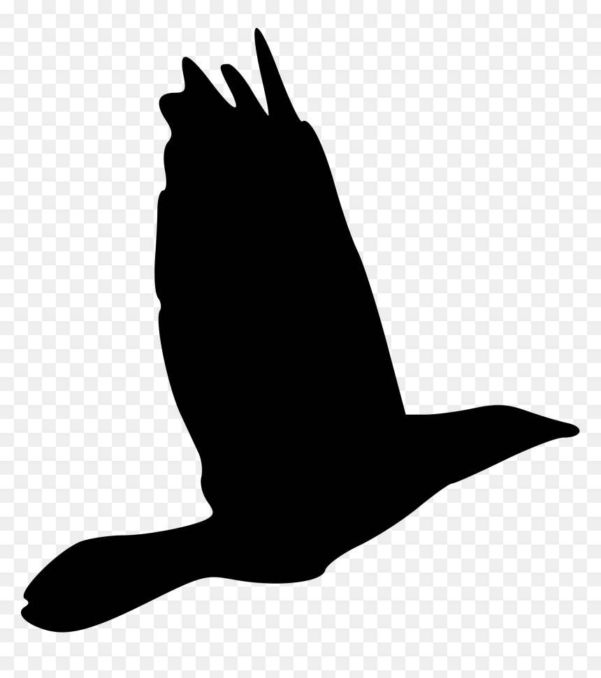 Bird Svg File, HD Png Download - bird drawing png
