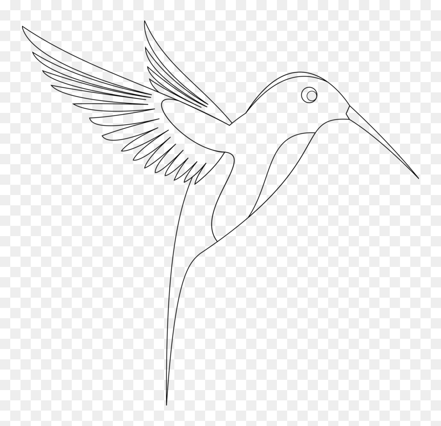 Bird Line Art Png, Transparent Png - bird drawing png