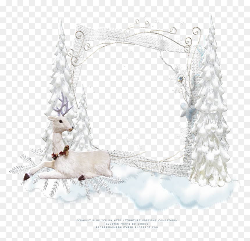 Christmas Tree, HD Png Download - ice frame png