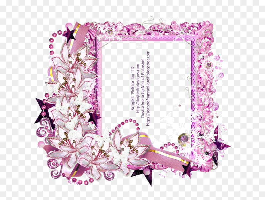 Orchid, HD Png Download - ice frame png