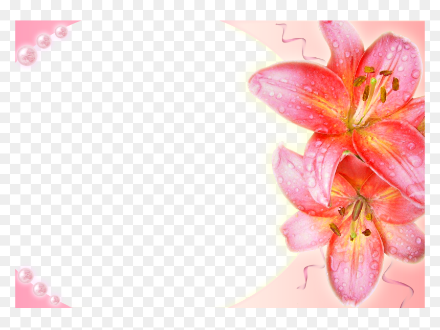 Photoshop, HD Png Download - 3d background png