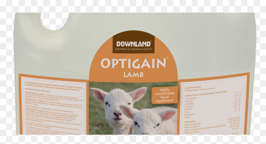 Sheep, HD Png Download - gain png