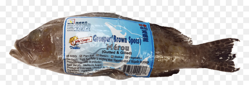 Glass Bottle, HD Png Download - grouper png