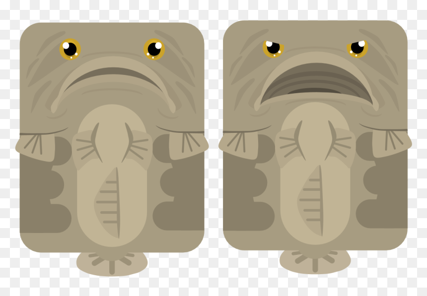 Illustration, HD Png Download - grouper png