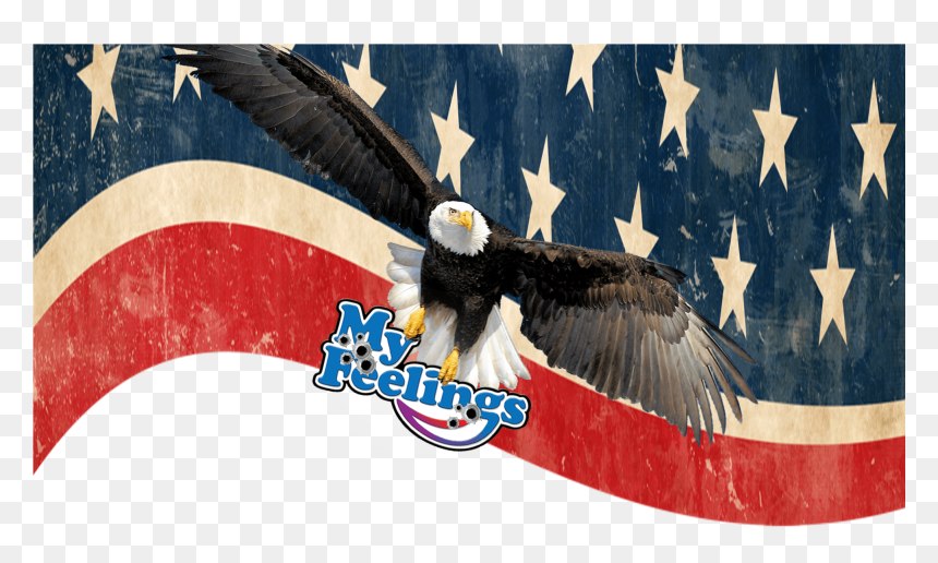 Bald Eagle, HD Png Download - fascist eagle png