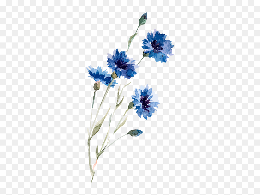 Watercolor Flower Transparent Backgrounds, HD Png Download - watercolor plant png
