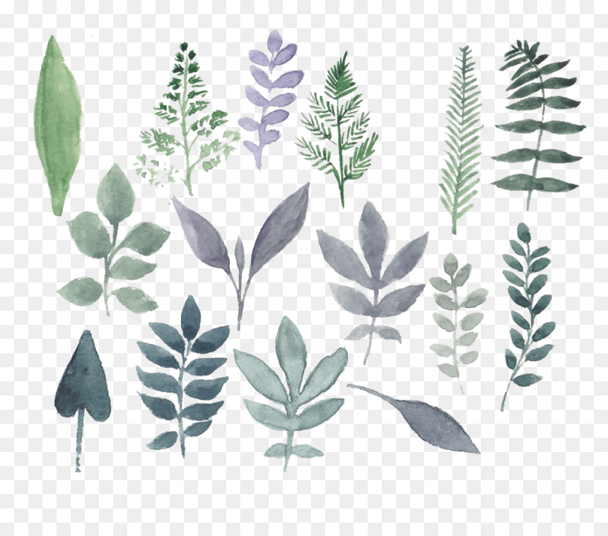 Watercolor Leaf Flower Design, HD Png Download - watercolor plant png