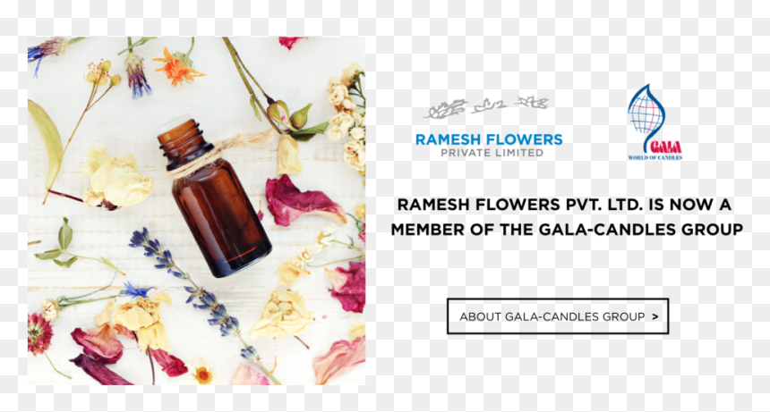 Ramesh Flower Pvt Ltd, HD Png Download - flower chain png
