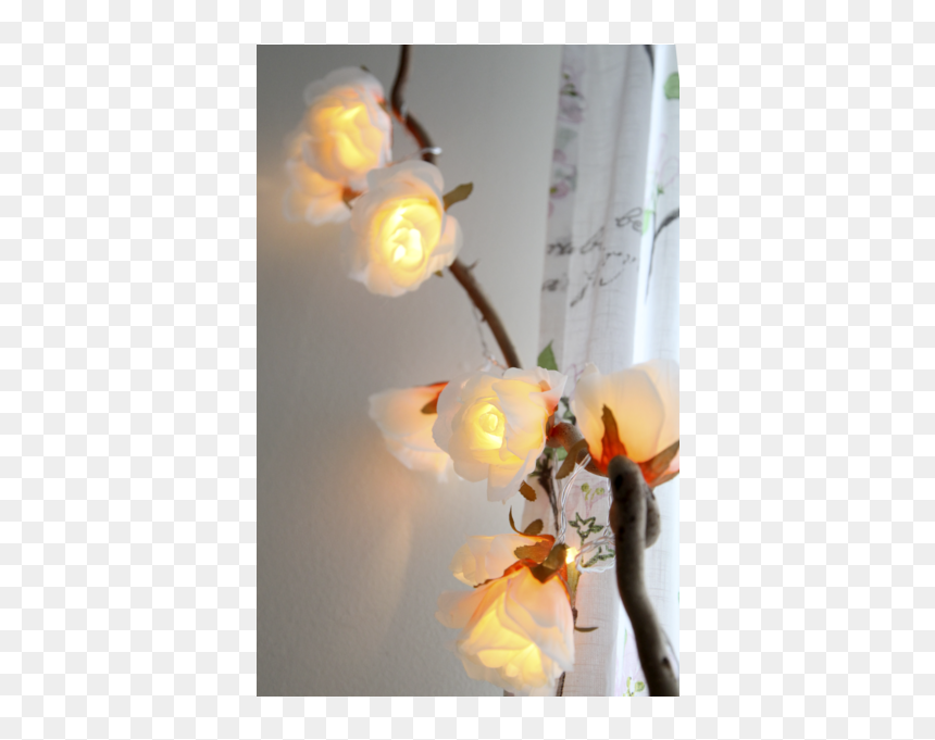 Garden Roses, HD Png Download - flower chain png