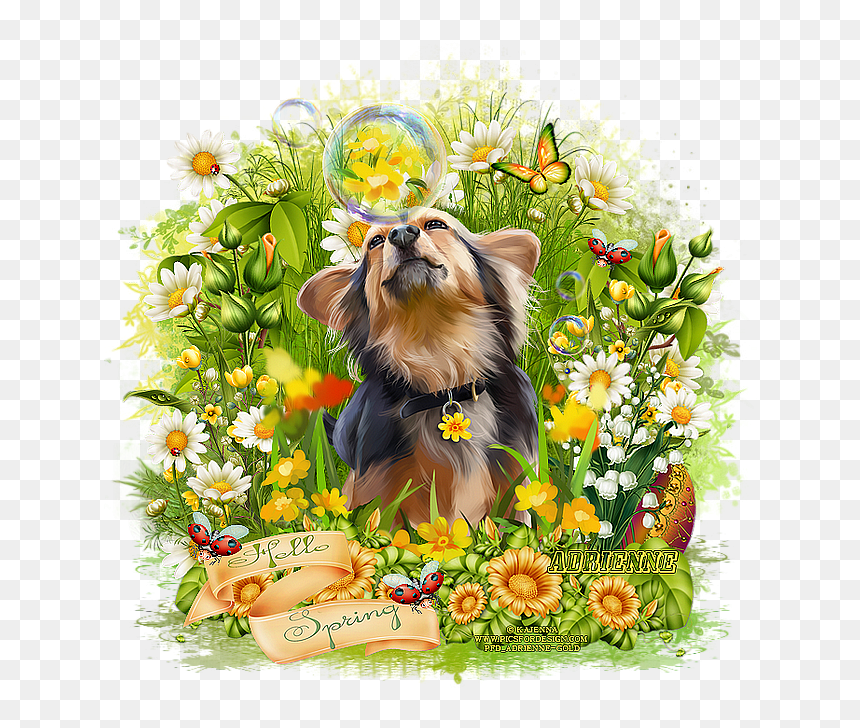 Shetland Sheepdog, HD Png Download - hello spring png