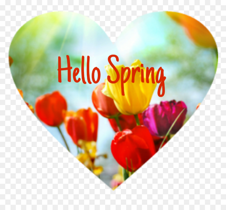Background Image For Desktop Flower, HD Png Download - hello spring png
