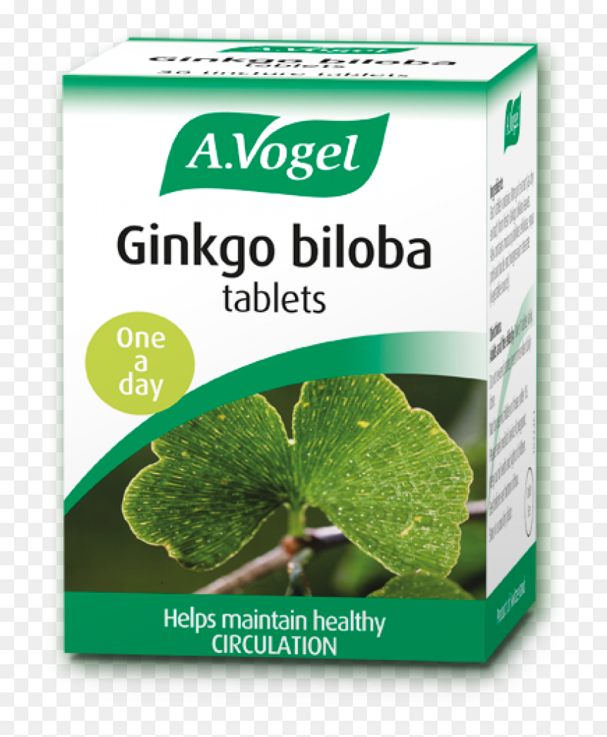 Echinacea Vogel, HD Png Download - ginkgo tree png