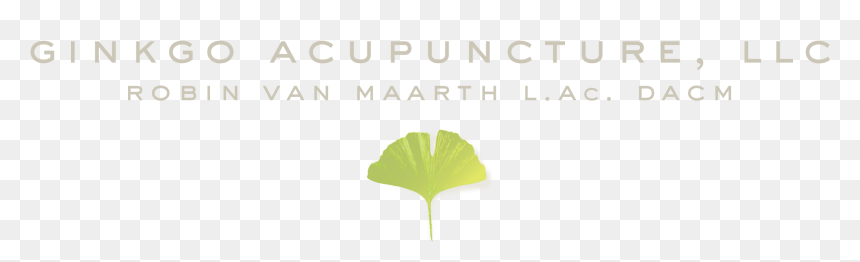 Maidenhair Tree, HD Png Download - ginkgo tree png