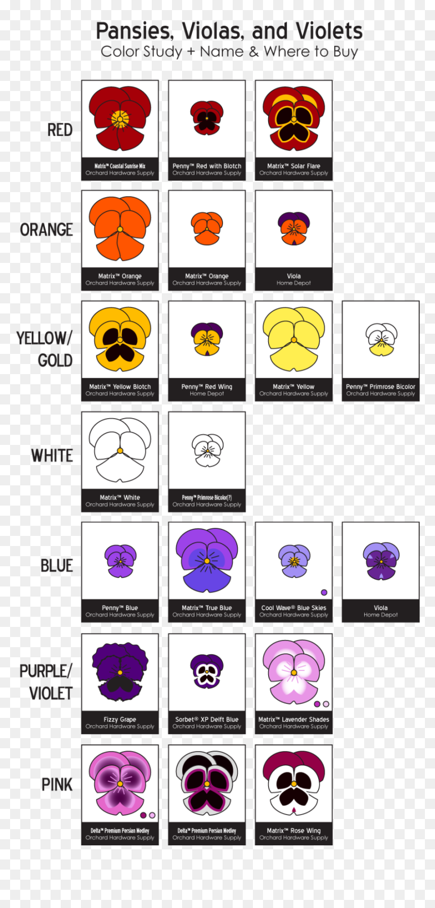 Variety Of Pansies, HD Png Download - pansies png