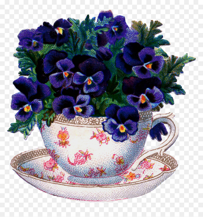 Teacup, HD Png Download - pansies png